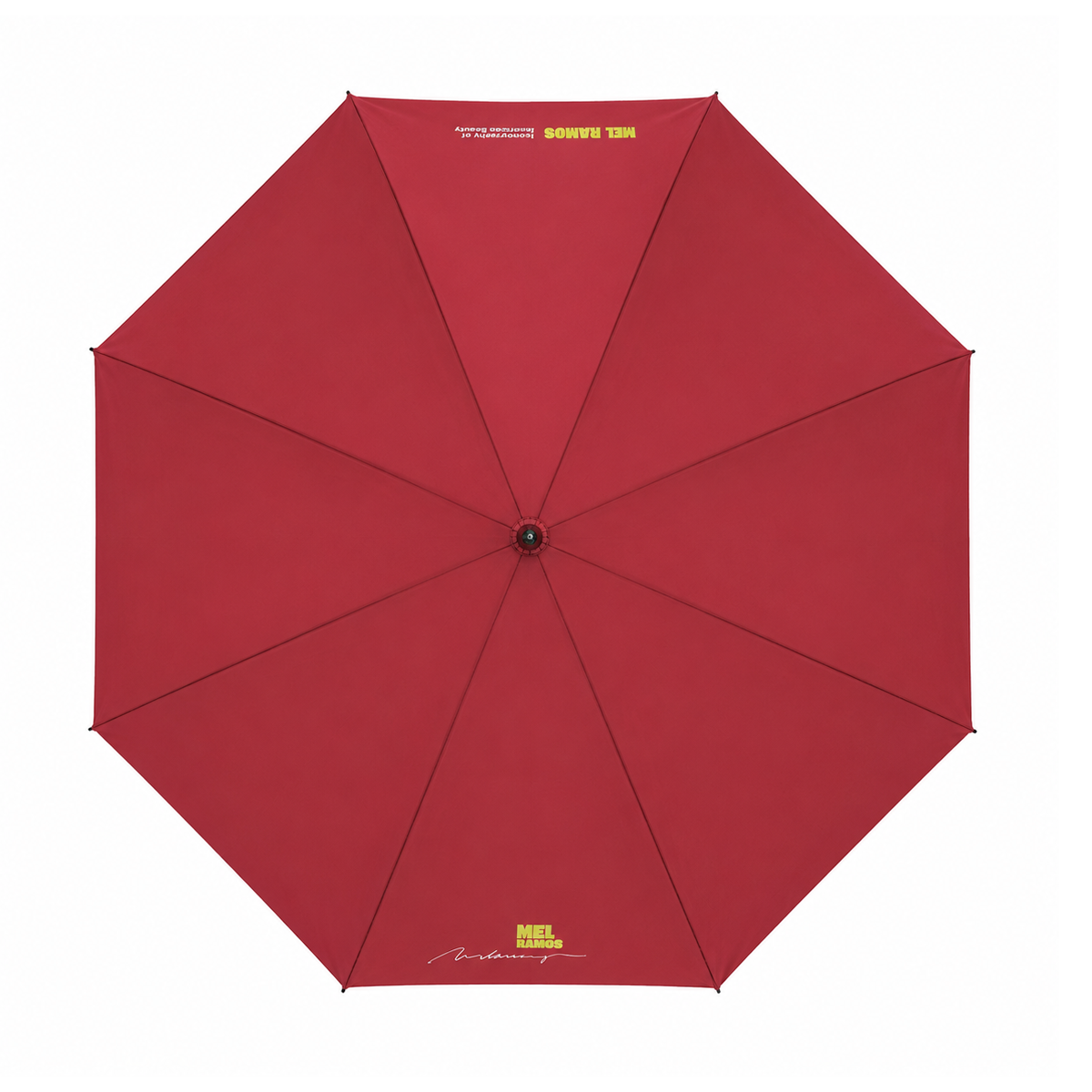 Umbrella | Aviation girl
